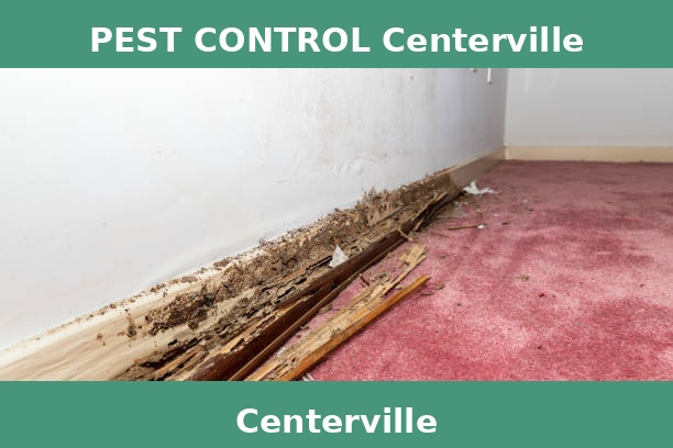PEST CONTROL Centerville